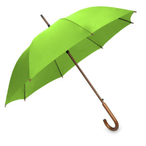 OXFORD Umbrella with wooden handle Lime